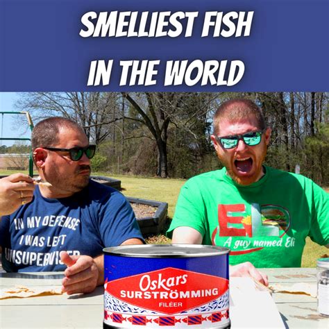 worlds smelliest fish in a can|SURSTRÖMMING STINKY FISH CHALLENGE